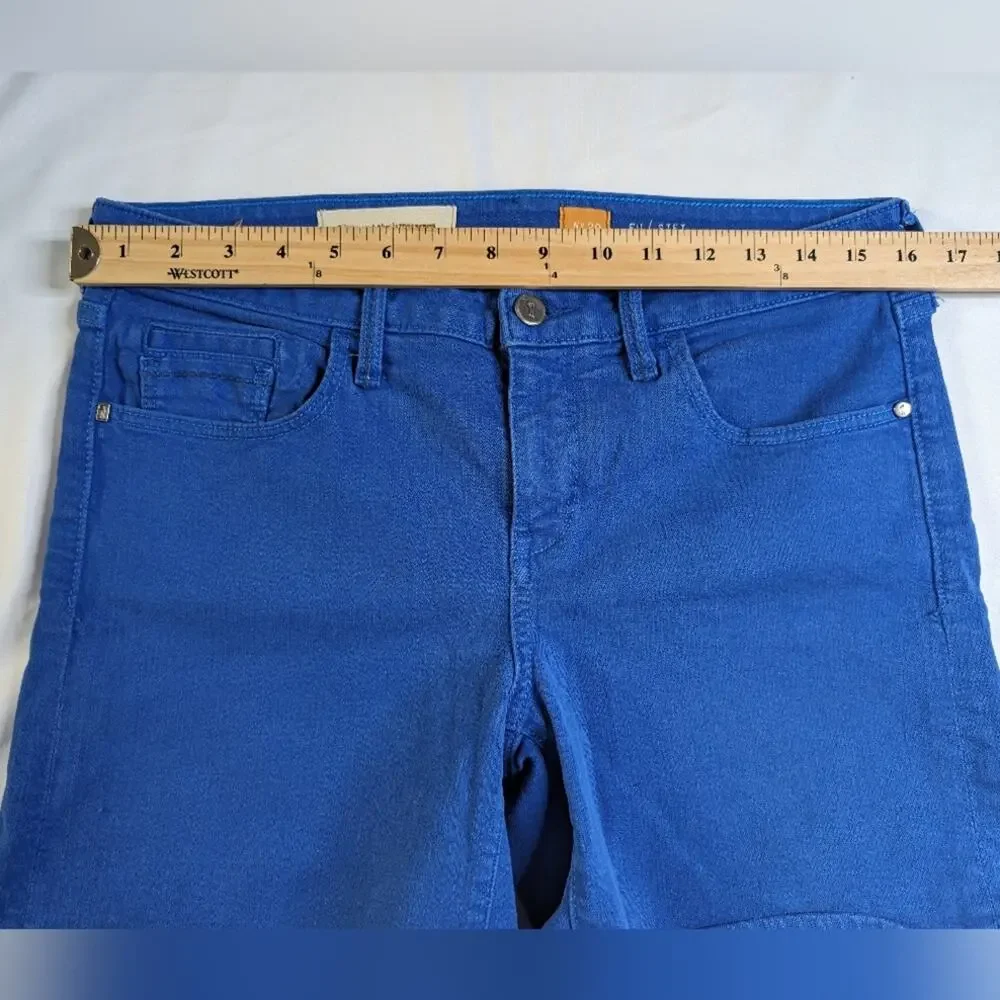 Pilcro Anthropologie Cobalt Blue Shorts | Size 29
